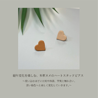 画像1382