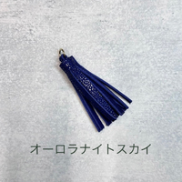 画像1424