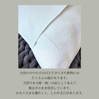 画像1438