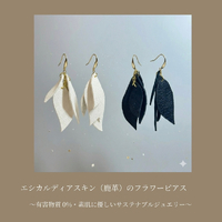 画像1521