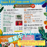 画像837