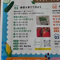 画像838