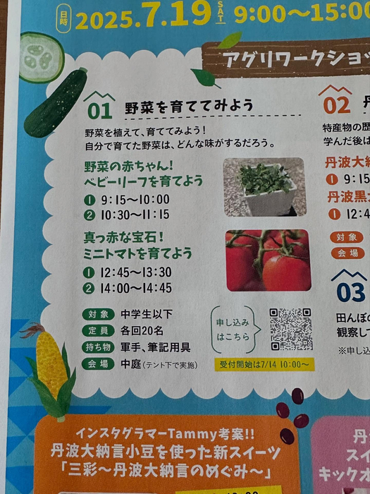 画像838
